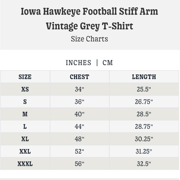 NEW Charlie Hustle Iowa Hawkeye Football Stiff Arm T-Shirt in Vintage Grey - Picture 5 of 5